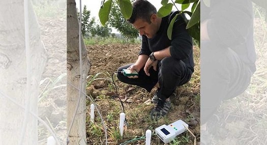Ceviz ağaçlarının su kullanımı TÜBİTAK destekli projeyle analiz edilecek