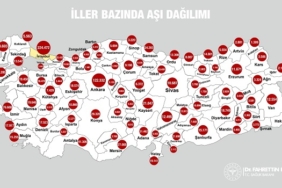 aşı haritası
