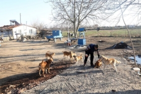 Emekli postacı salgın döneminde bahçesini açtığı sokak hayvanlarını yalnız bırakmadı