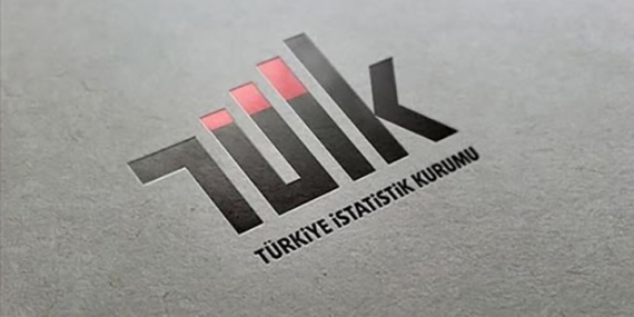 tüik-başkanı