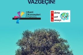zeytin