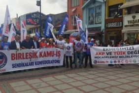 birleşik kamu-iş-tüik