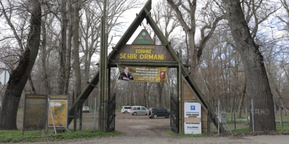 ken-ormanı