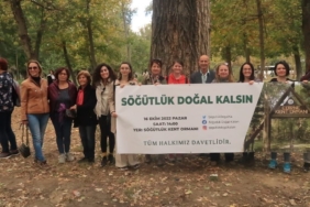 söğütlük