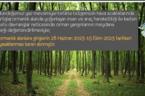3579EFDF-9E9A-41A7-A50E-DFEF5D22753B