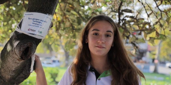 ağaçlara-isim