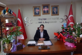 mhp-ilbaşkanyardımcı