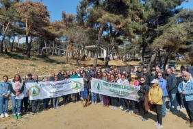 saros-