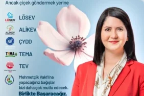 filiz-1-jpg
