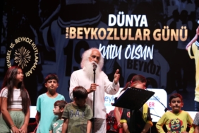 suavi-beykoz