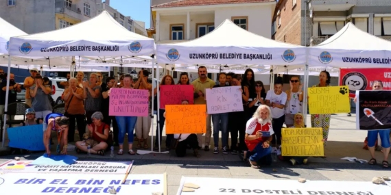 Uzunköprü’de Katledilen Sokak Hayvanları İçin Eylem