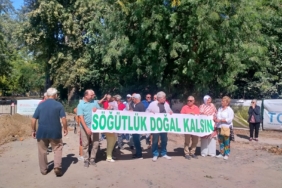 söğütlükkk-eylem