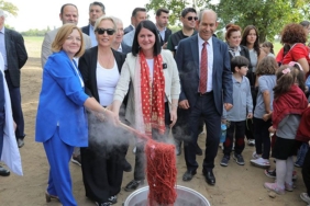 edirne-kirmizisinin-elde-edildigi-kok-boya-bitkisinin-hasadi-yapildi