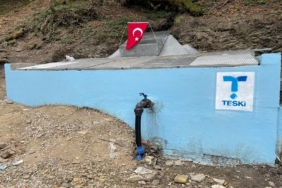 teski