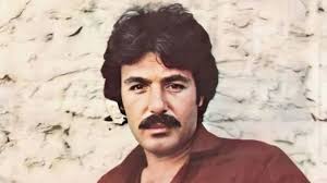 ferdi tayfur