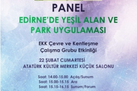 panel