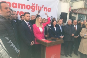 harika-taybıllı-chp