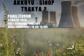 “Türkiye’de ve Dünyada Nükleer Enerjinin Ekonomik, Politik ve Halk Sağlığı “