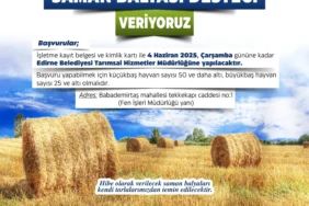 saman-balyası-desteği