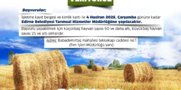 saman-balyası-desteği
