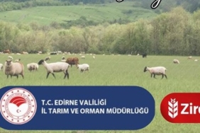 köyümde-yaşamak-için-nedenim-var