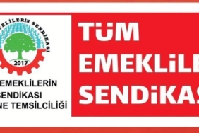 tümemekliler sendikası