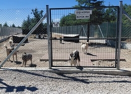 ekk-hayvan-yaşam-merkezi-ziyarettt
